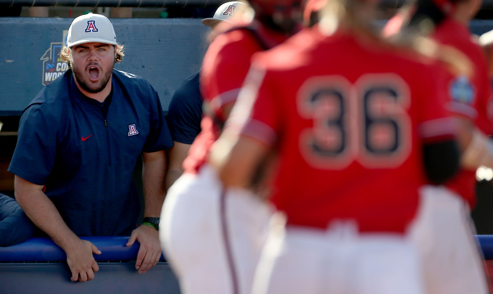 University of Arizona vs UCLA